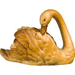 Cisne cabeza hacia atrás